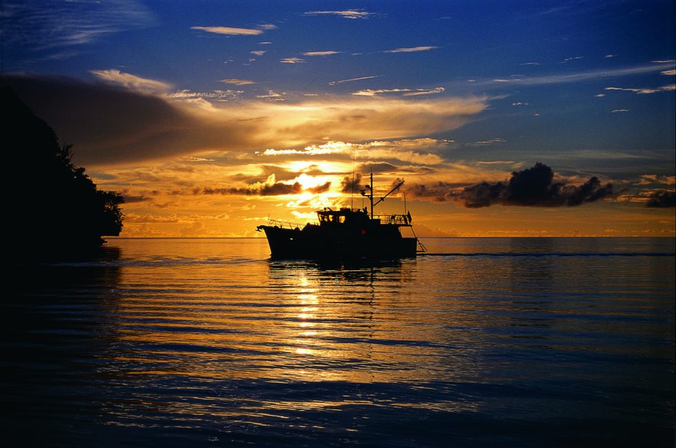 ocean trawler yacht